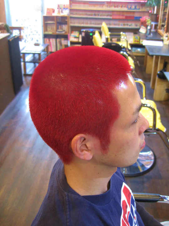 縮小20120430 017.jpg