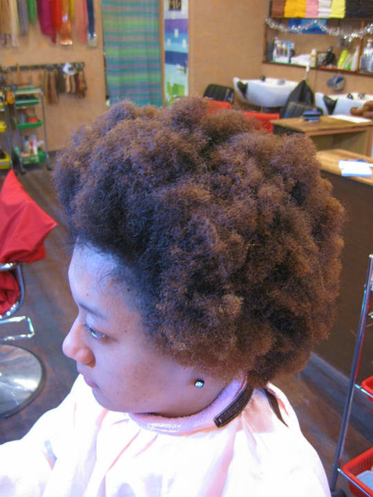 縮小20121109 012.jpg