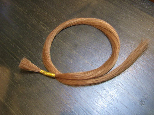 縮小20120808 007.jpg